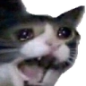 ree <ree>